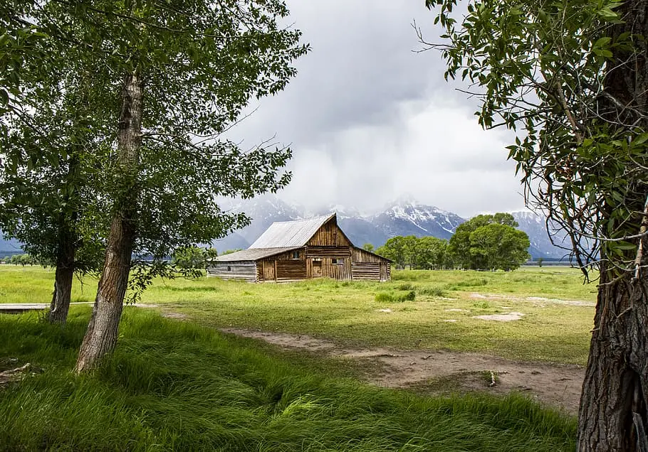 Farmstead in rural area